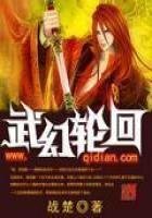 《武幻轮回》