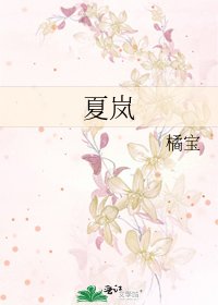 《夏岚》