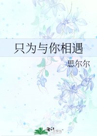 《只为与你相遇》
