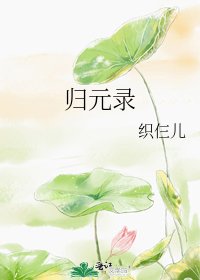 《归元录》